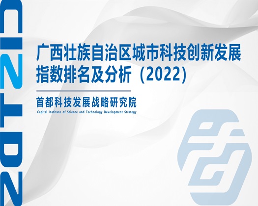 使劲操逼【成果发布】广西壮族自治区城市科技创新发展指数排名及分析（2022）